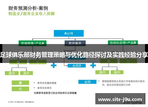 足球俱乐部财务管理策略与优化路径探讨及实践经验分享