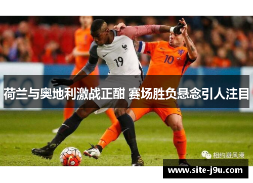 荷兰与奥地利激战正酣 赛场胜负悬念引人注目
