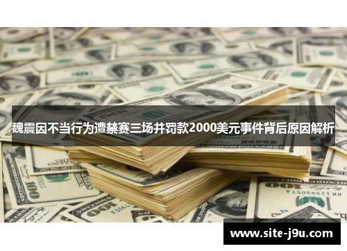 魏震因不当行为遭禁赛三场并罚款2000美元事件背后原因解析