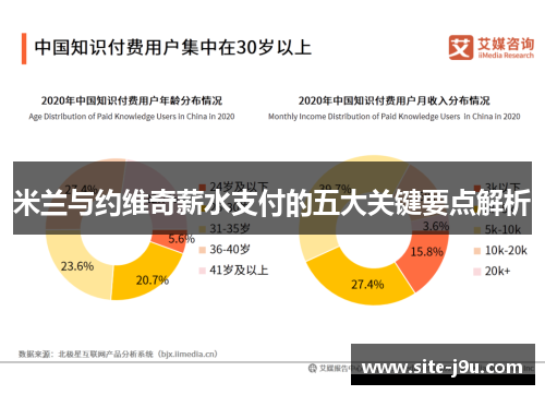 米兰与约维奇薪水支付的五大关键要点解析