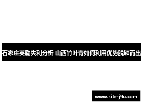 石家庄英励失利分析 山西竹叶青如何利用优势脱颖而出