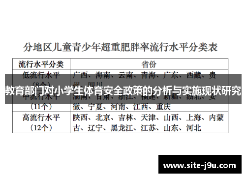 教育部门对小学生体育安全政策的分析与实施现状研究