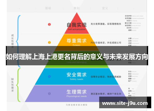 如何理解上海上港更名背后的意义与未来发展方向