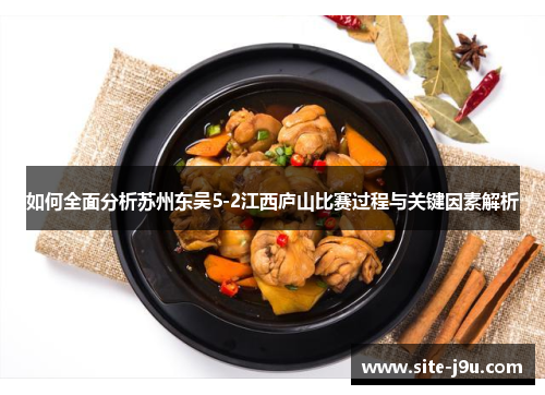 如何全面分析苏州东吴5-2江西庐山比赛过程与关键因素解析