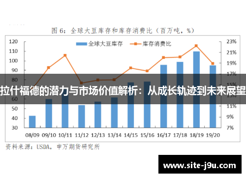 拉什福德的潜力与市场价值解析：从成长轨迹到未来展望