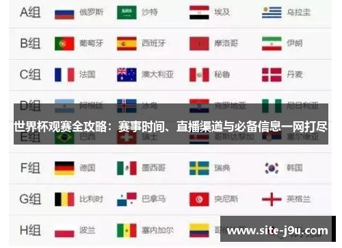 世界杯观赛全攻略：赛事时间、直播渠道与必备信息一网打尽