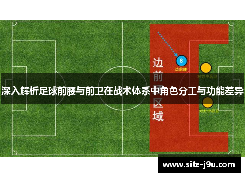 深入解析足球前腰与前卫在战术体系中角色分工与功能差异