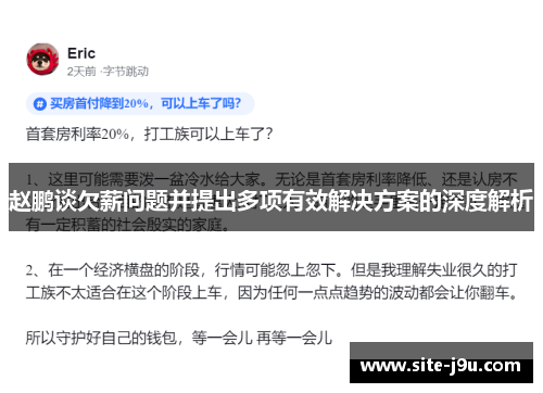 赵鹏谈欠薪问题并提出多项有效解决方案的深度解析