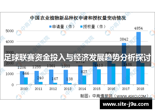 足球联赛资金投入与经济发展趋势分析探讨