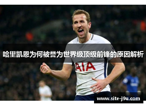 哈里凯恩为何被誉为世界级顶级前锋的原因解析