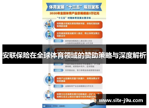 安联保险在全球体育领域的赞助策略与深度解析