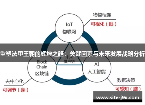重塑法甲王朝的辉煌之路：关键因素与未来发展战略分析